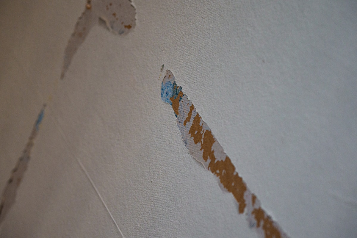 Mold Remediation service in Seaside, CA